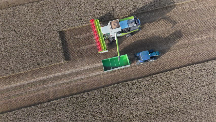 A combine harvester unloads its hopper into a tractor trailer aerial drone shot. Harvesting wheat from the fields. Herbicides and pesticides for high yields