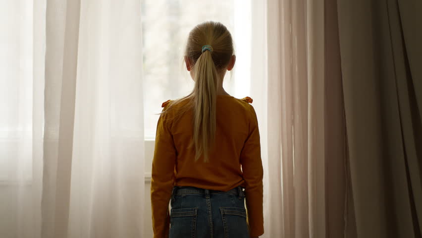Shutterstock Video