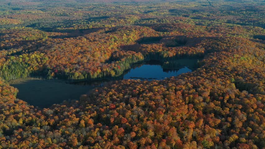 An aerial drone shot flying over a forest and pond in rural Ontario at sunset during a colourful fall