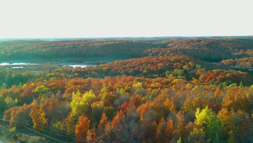 An aerial still shot over a country road with a Marsh and a colourful hill range forest in the background during autumn at sunset