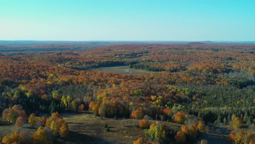 A Drone Shot flying over a colourful forest, field and marsh at sunrise in the Fall