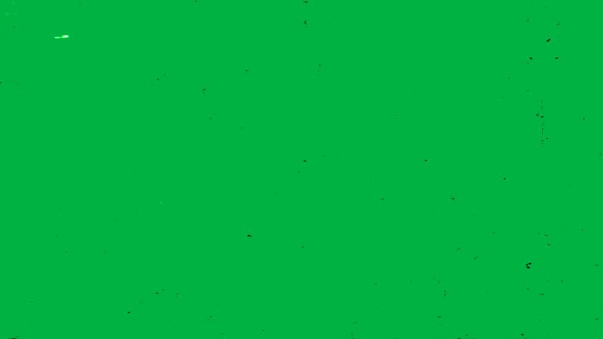 Shutterstock Video
