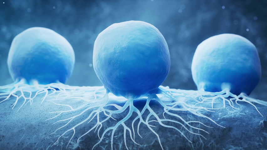 Biological cancer cell and disease, 3d rendering. Motion graphic.