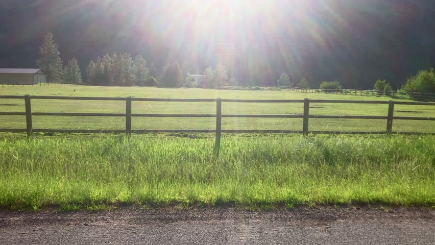 A single bighorn sheep walks down the road at Rock Creek Montana. Backlit with sun rays in background.