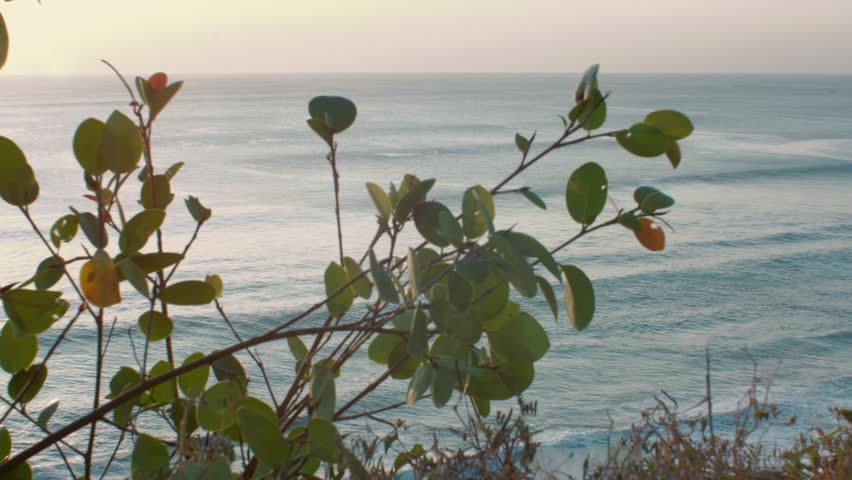 Cinque Terre