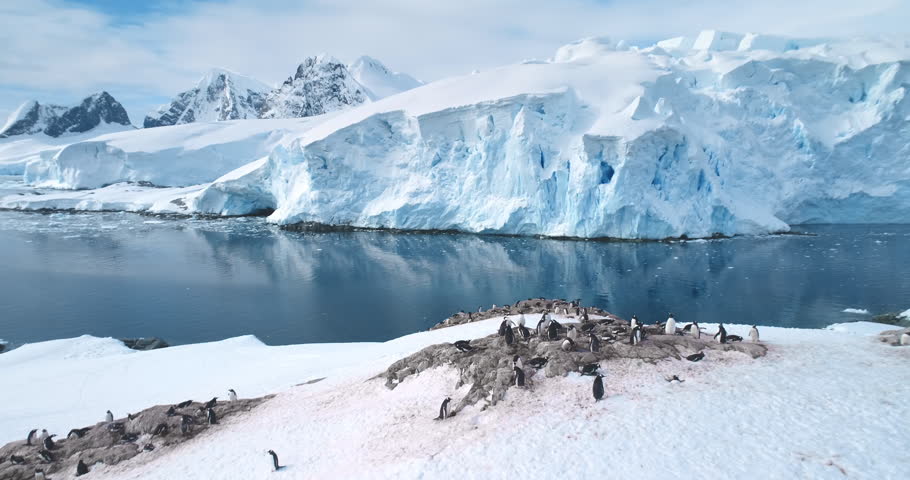 Antarctica beautiful wildlife background. Penguins colony rest nesting on mountain coastline, towering iceberg, snow covered glacier in cold ocean water. Explore Antarctic wild nature. Panoramic shot