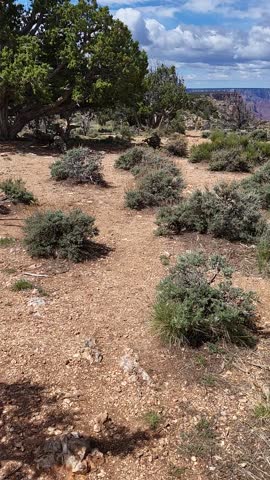 Grand Canyon Navajo Point USA