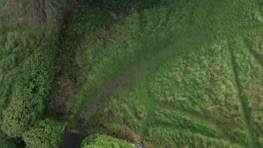 Aerial top down, bird