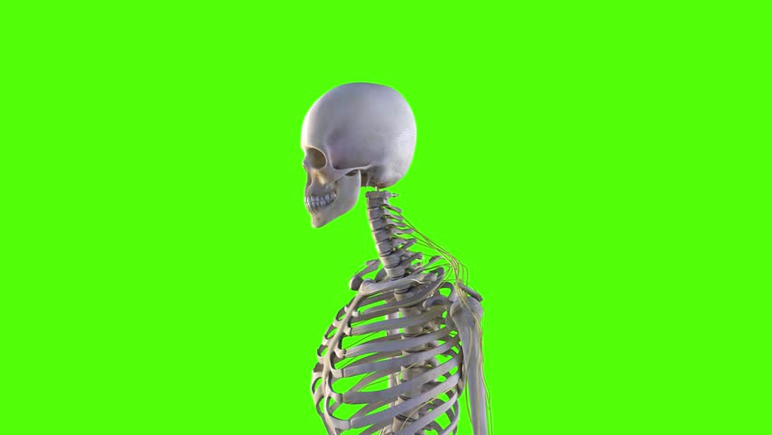 (Medical, 3D, CG, Keying, Green screen) medical data video
Cervical discherniation Description_1080p
