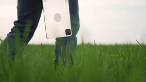 Agronomist walks through farm field. Agriculture farmer inspects crops on farm. Agronomist ensures productivity agriculture with tablet. Farm operations managed by farmer. farmer oversees farm success - Powered by Shutterstock - Get 15% off with code: PIKWIZARD15