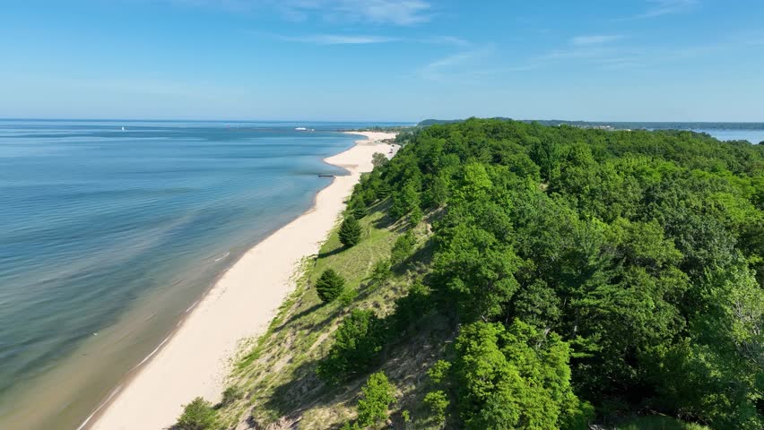High aerial above the lush ecosystem, facing north.