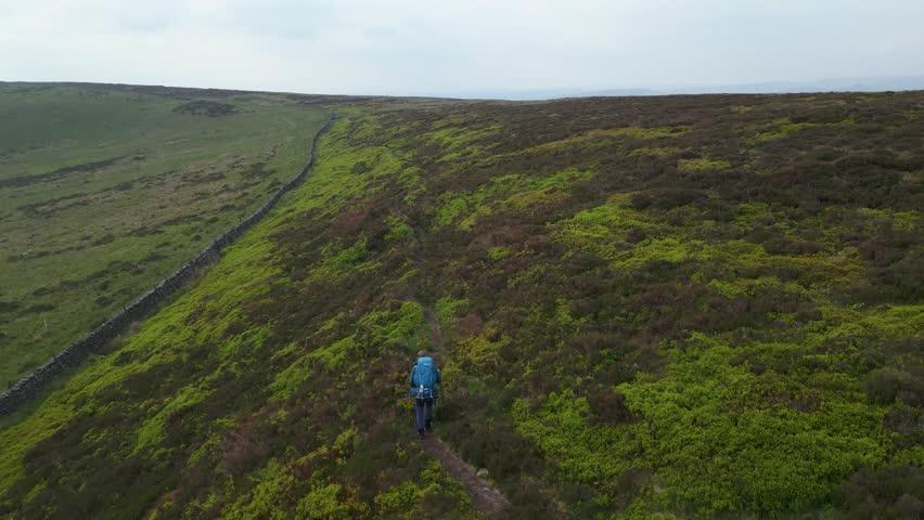 A solo traveller with his pack back is happily walking along the trail overgrown with green bushes and grass