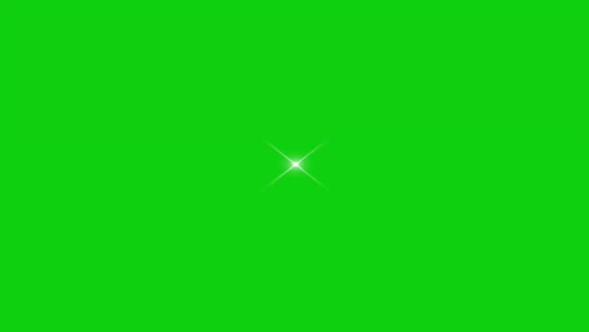 Shutterstock Video