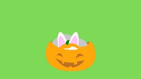 Animated video of evil rabbit hiding inside pumpkin Halloween lantern on green screen background
