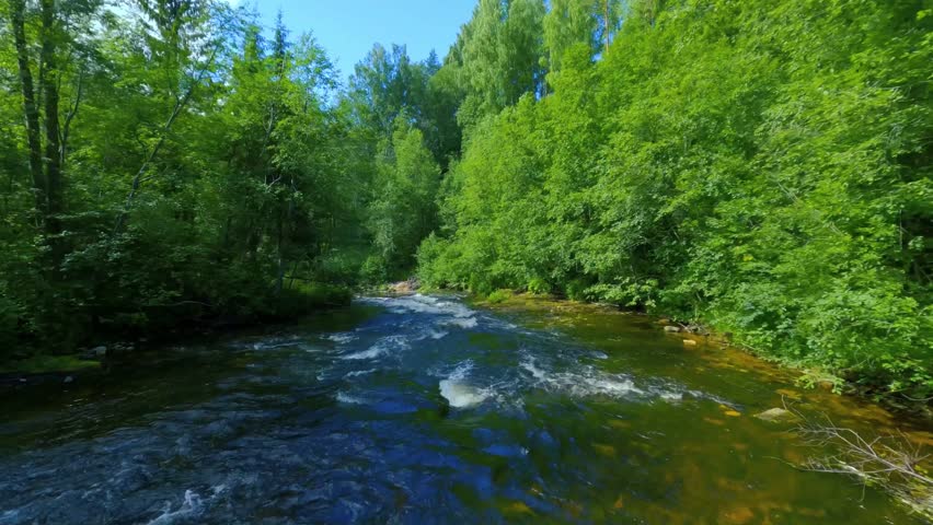 Smooth, rapid FPV flight over a mountain river close to the water, among a dense russian forest. Mystical landscape, forest waterfall.