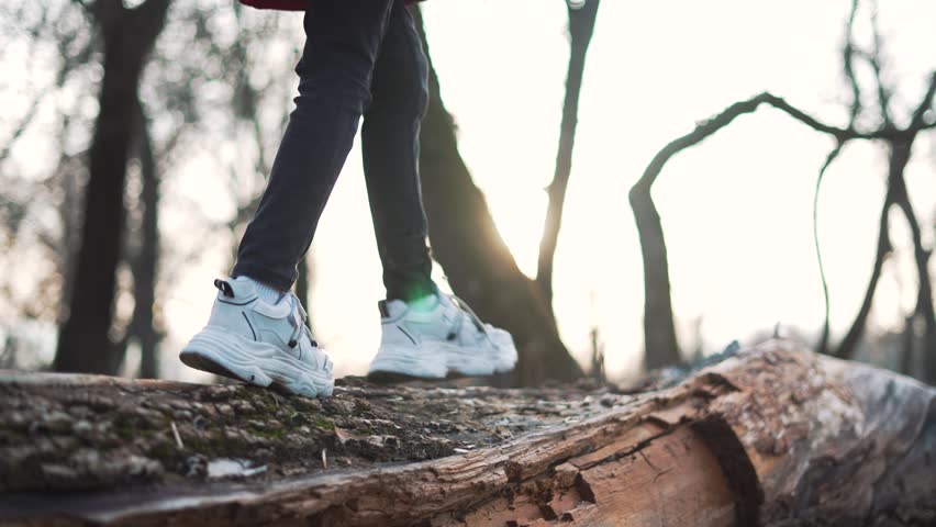 Family exploring woods. Kid balancing on log. Close-up of black boots on tree. Outdoor adventure in nature. Family fun in forest. Kid log balance journey. Wood exploration family. Kid outdoor activity - Powered by Shutterstock - Get 15% off with code: PIKWIZARD15