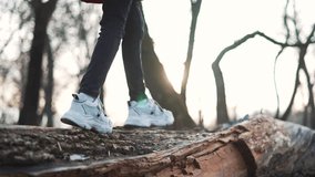 Family exploring woods. Kid balancing on log. Close-up of black boots on tree. Outdoor adventure in nature. Family fun in forest. Kid log balance journey. Wood exploration family. Kid outdoor activity - Powered by Shutterstock - Get 15% off with code: PIKWIZARD15