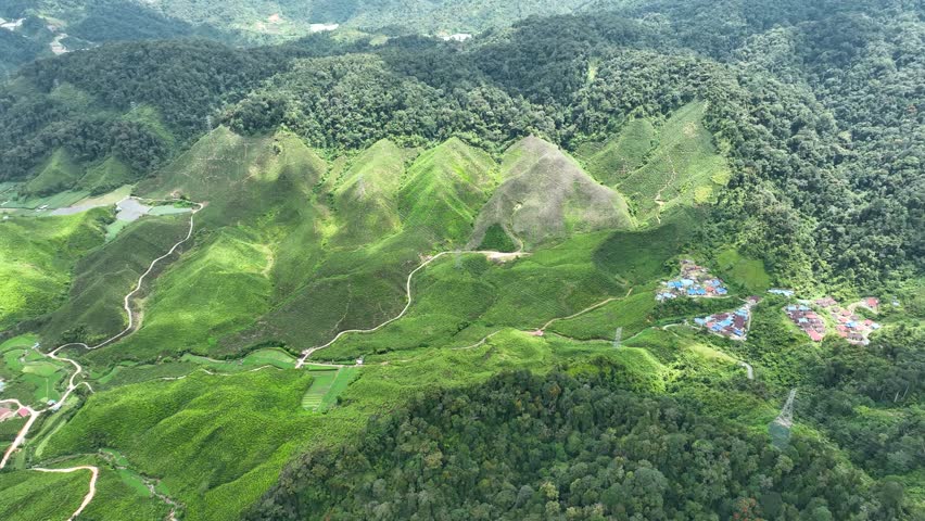 Cameron Highlands, popular tourist destination, beautiful landscapes