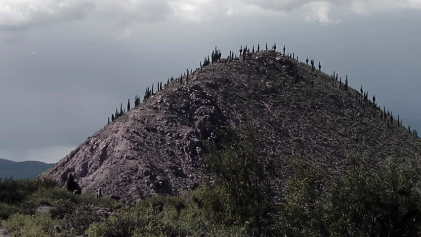 Cactus on Hilltop and Slopes, Tilcara, Jujuy Province, Argentina.