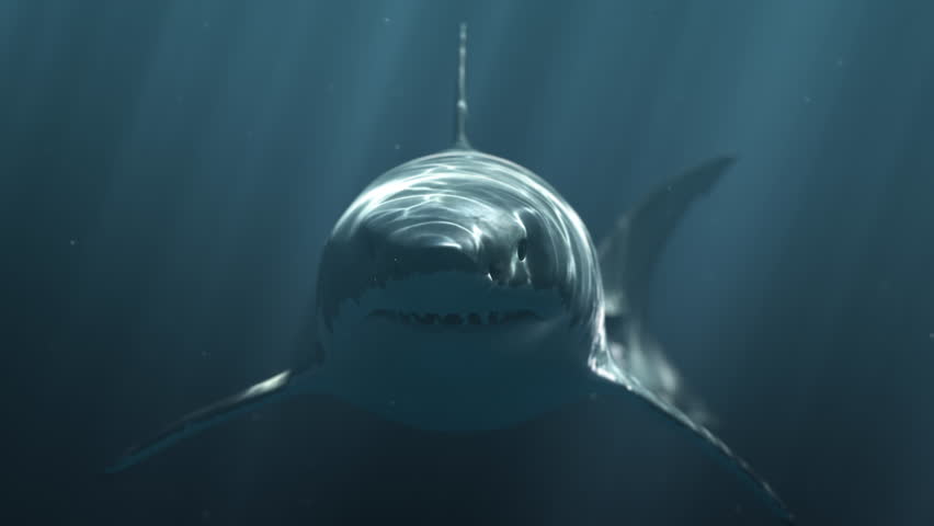 Great White Shark (Megalodon) Attack. Realistic 3d animation, 4K Ultra HD 3840x2160