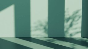 Sunny green room. 3d render, realistic design. Foliage leaf shadow, sunlight, looped animation. Minimalistic modern style, empty space. template for product show, background - Powered by Shutterstock - Get 15% off with code: PIKWIZARD15