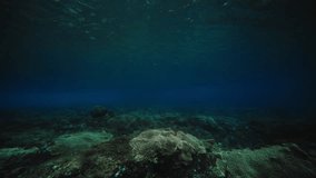 Tropical blue ocean water with wave crashing as longboard surfer closely rides, underwater angle - Powered by Shutterstock - Get 15% off with code: PIKWIZARD15