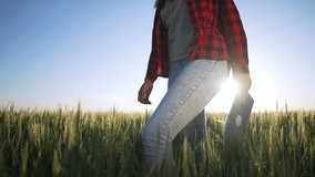 Female farmer wheat field. Farmer using technology to inspect crops. agriculture for better harvest. Digital tools for efficient farming. Farmer prepares for harvest season. Technology aids in farming - Powered by Shutterstock - Get 15% off with code: PIKWIZARD15