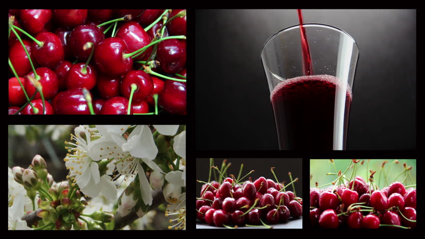 set of cherry blossoms, cherry fruit, cherry juice, vegetarian food, natural