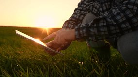 sunset farm assessment, rural business sunset, digital farm records, farm operations sunset, agro business sunset, green wheat monitoring, agritech productivity monitoring, farmer business planning - Powered by Shutterstock - Get 15% off with code: PIKWIZARD15