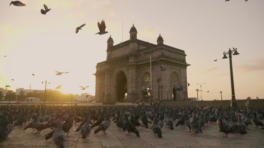 A beautiful morning shot of the flock of Pigeons taking a flight or flying together against the Gateway of India, Mumbai  with a rising sun or during sunrise in the background
