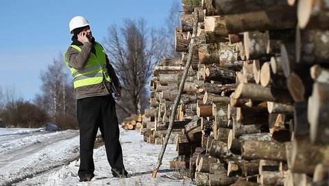 Lumberjack  talking on the cell phone near at the log pile