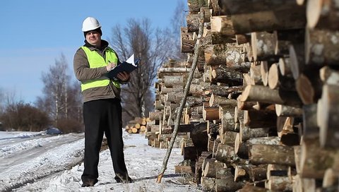 Lumberjack near at the log pile