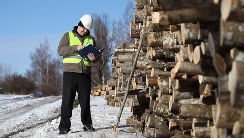 Lumberjack with cell phone and folder near at the log pile