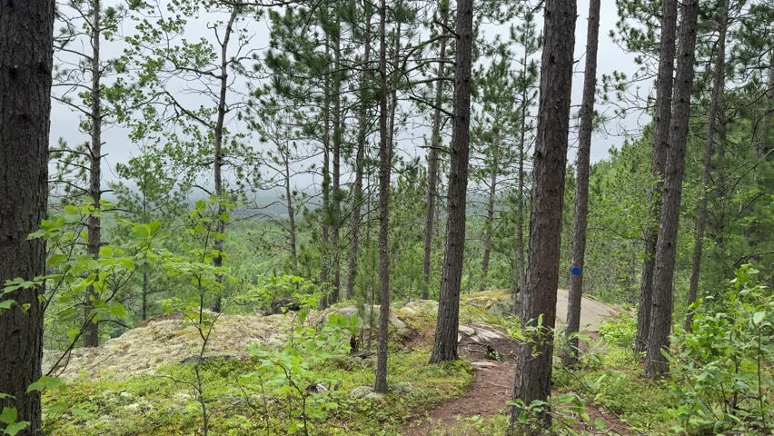 Man hiking in Algonquin Provincial Park, Ontario