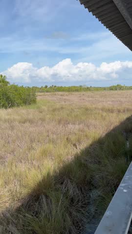 Beautiful view in Fakahatchee Strand Preserve State Park, Florida