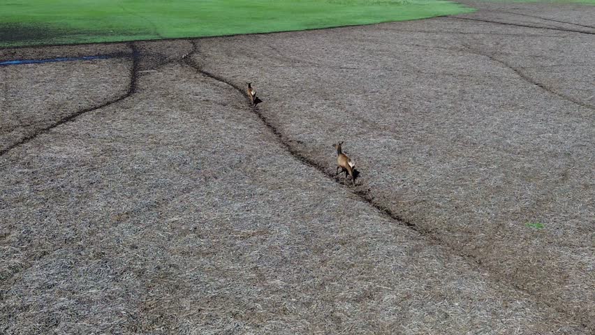 Mormon Lake Near Flagstaff Arizona, America, USA.