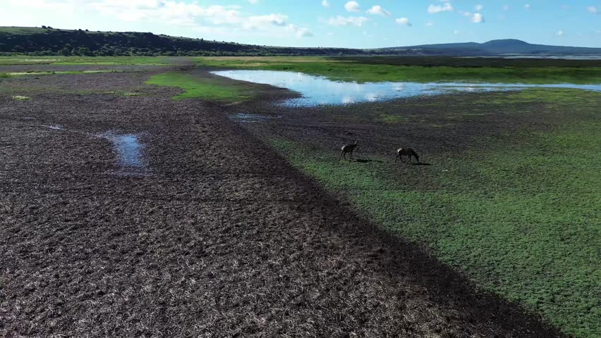 Mormon Lake Near Flagstaff Arizona, America, USA.