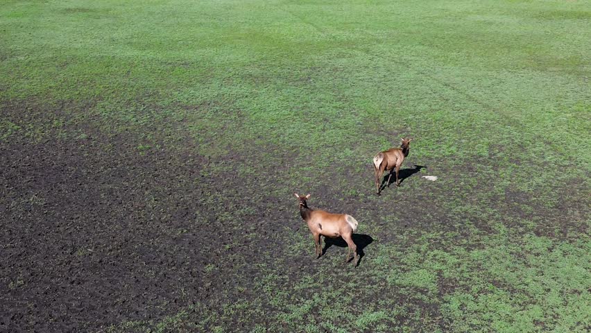 Mormon Lake Near Flagstaff Arizona, America, USA.