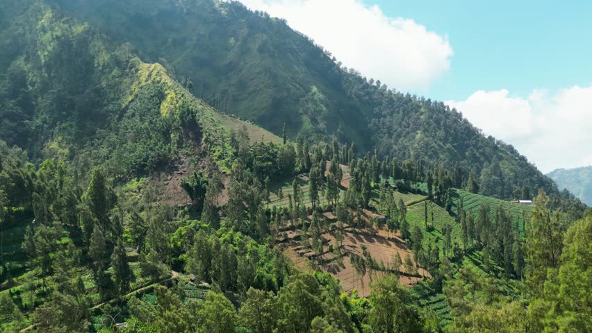 Landscape view of hills nature with cloudy sky. Summer mountains with agriculture fields view
