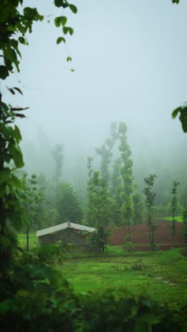 Vertical shot of rain in the forest and hut during the monsoon season as seen from Saputara in Gujarat, India. Green trees and foggy, cloudy atmosphere. Raindrops in front of the green trees in forest