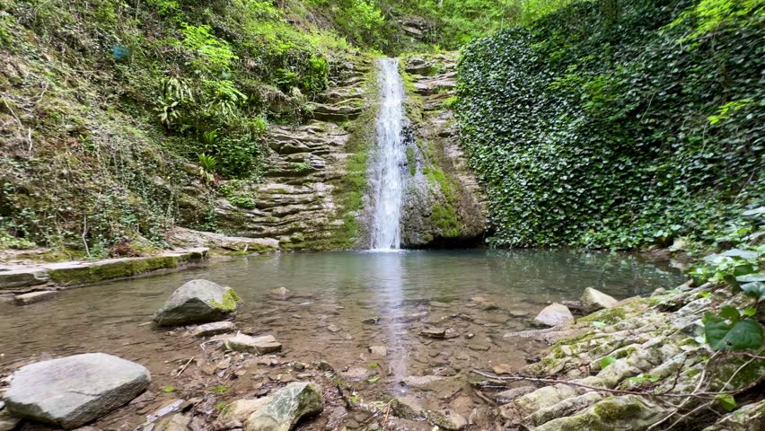 Waterfall in the forest in summer. River with stones.