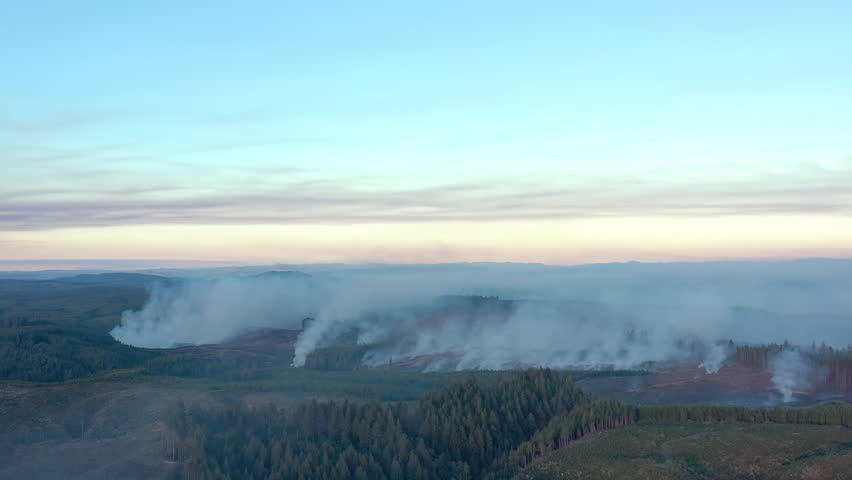 Deforestation and Slash Burning in Coos County, Oregon.