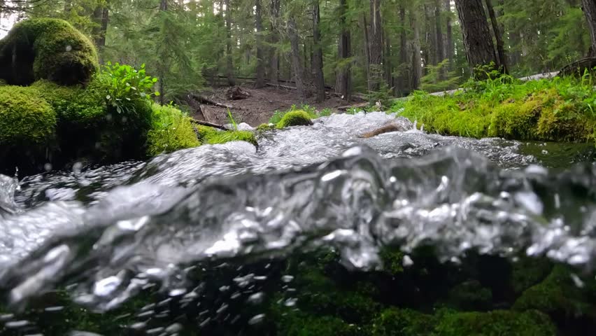 Half underwater dome shot of river with many small waterfalls. Wild mountain river water splashing in slow motion. Clear water stream running, forest and mossy stones . Clearwater falls in Oregon, USA