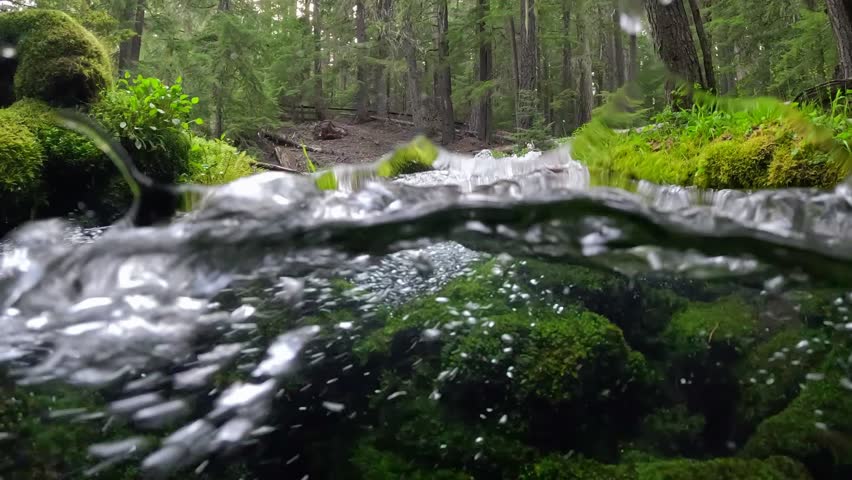 Half underwater dome shot of river with many small waterfalls. Wild mountain river water splashing in slow motion. Clear water stream running, forest and mossy stones . Clearwater falls in Oregon, USA