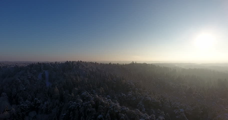 Snowy Forest in Lithuania, Europe. Heave Snow. Beautiful Winter Nature. Sunlight in Background. Ladscape