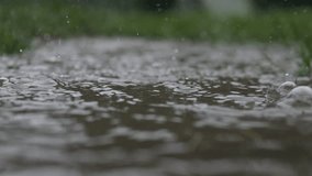 Raindrops fall into a puddle of muddy water. It is raining heavily and flooding. Bad weather and hurricane - Powered by Shutterstock - Get 15% off with code: PIKWIZARD15