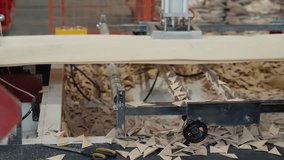 Conveyor Line With Automated Industrial Machine Cutting Fabric For Eco Bags Production. Fabric Processing Machine Cuts Pieces From Ecologically Friendly Textile. Fabric Processing By Machine Mechanism - Powered by Shutterstock - Get 15% off with code: PIKWIZARD15