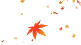 Watercolor style Maple leaves fluttering animation
 - Powered by Shutterstock - Get 15% off with code: PIKWIZARD15