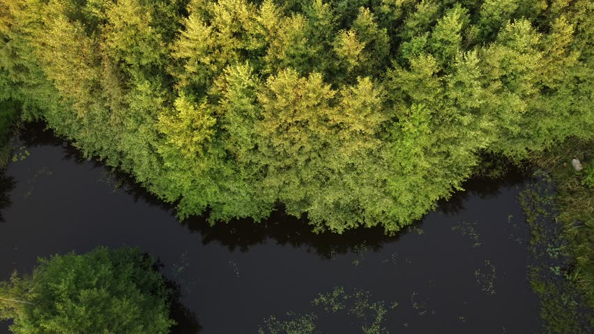 A drone footage of a pond in the middle of a dense green forest on a sunny day near Varnhem city in Skara, Sweden