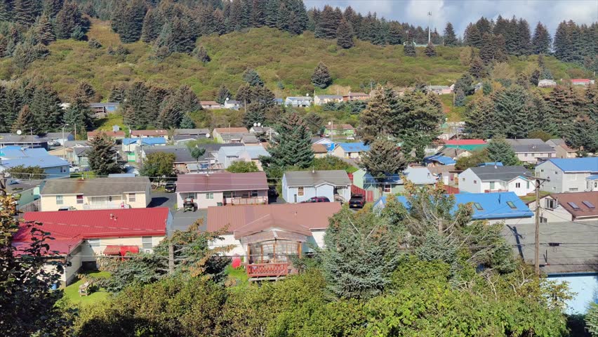 A shot of houses with different colored roofs in Kodiak, Alaska.